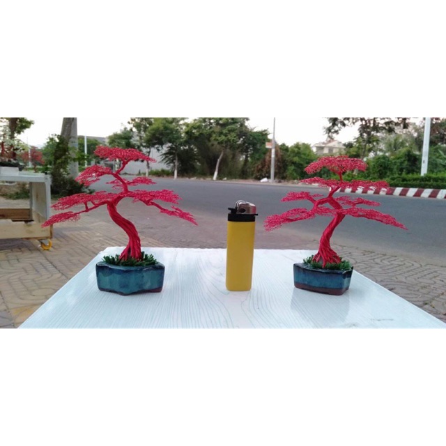 Cặp cây bonsai mini quấn dây đồng cực lạ mắt