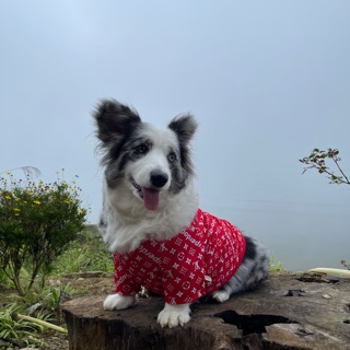 Liangliang Sỉ Quảng Châu