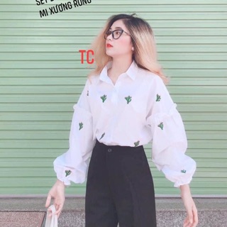 Áo sơmi xương rồng