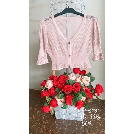 Áo mongtegi dáng croptop