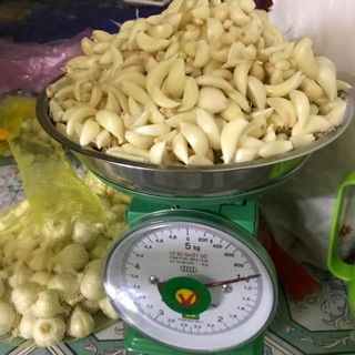 Tỏi lý sơn bóc vỏ sẵn