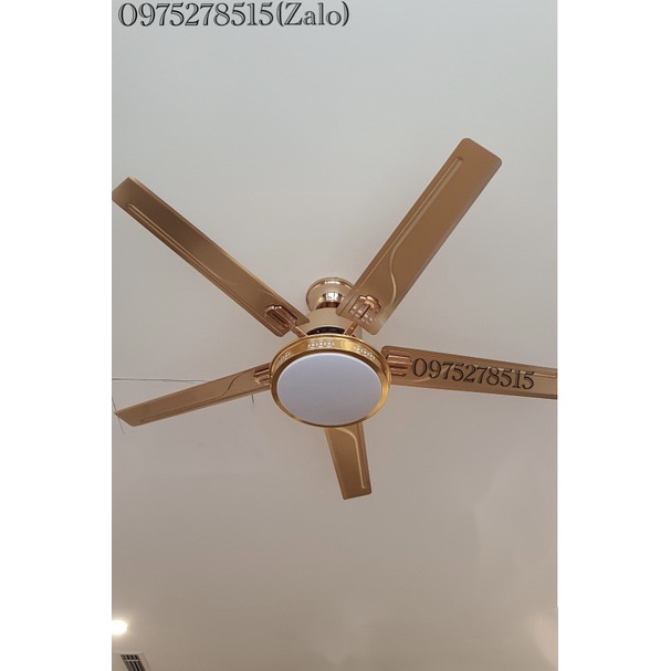Quạt Trần DC Inverter BK6-GOLD Promax Lõi Đồng Full 6 Cấp Độ Gió, 3 Chế Độ Đèn LED Lắp Cho Mọi Không Gian