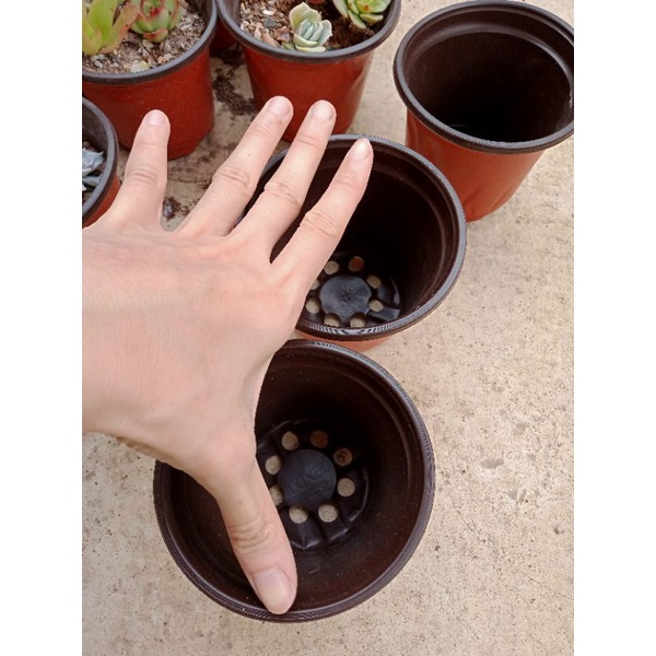 Chậu nhựa 10cm - NeyuhGarden