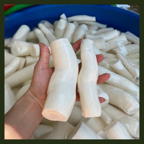 Sắn Nếp Nương Điện Biên 1kg