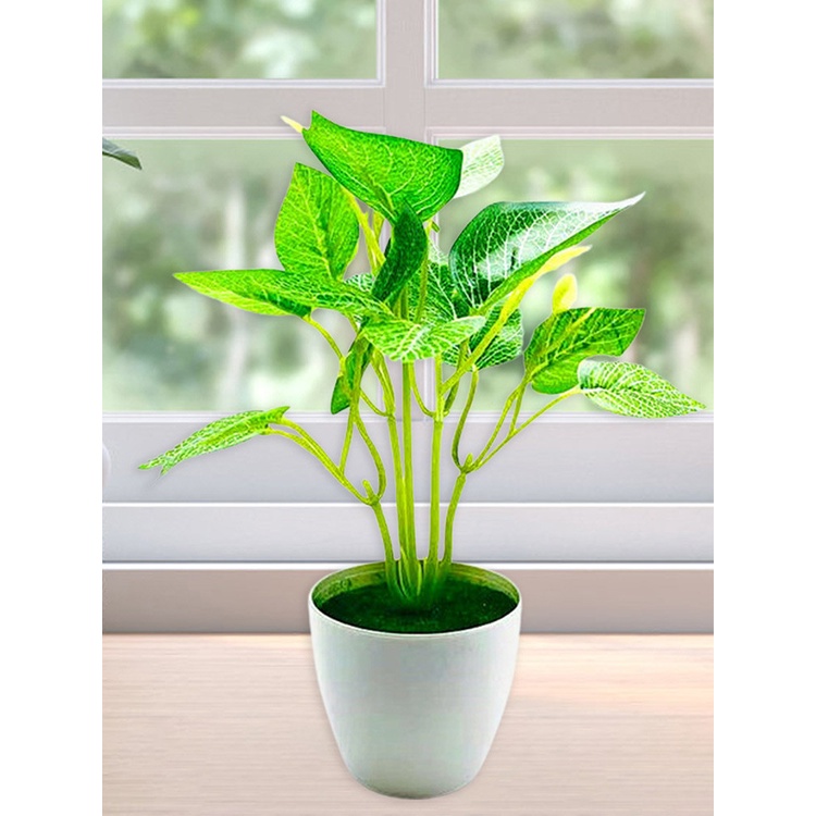 Chậu cây giả 5 kiểu tùy chọn trang trí nhà cửa