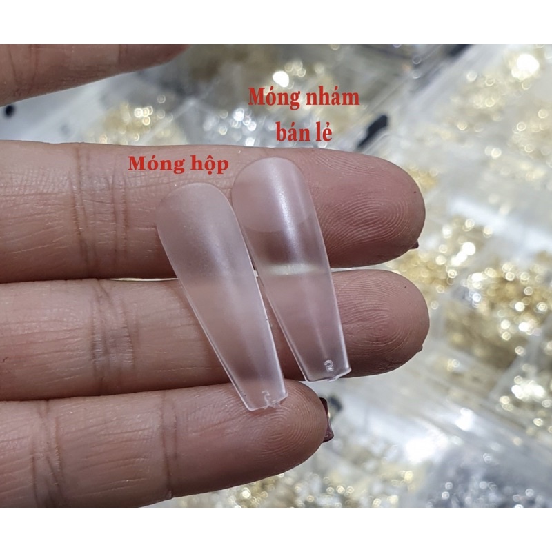 Móng úp nhám lẻ size 5-6-7-8-9-10-11