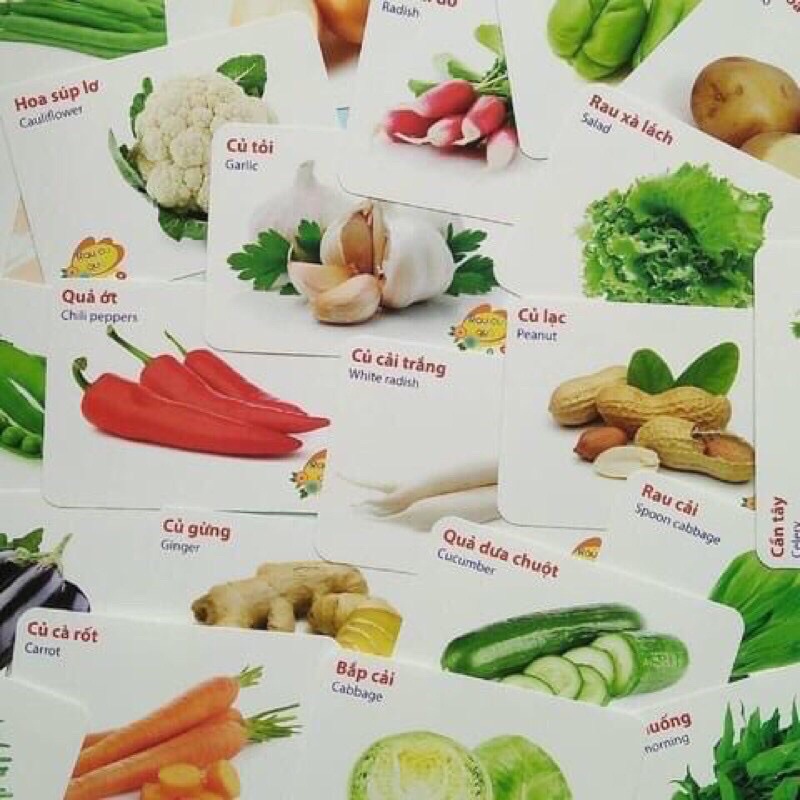Bộ thẻ học thông minh 16 chủ đề - 416 thẻ cho bé học tập