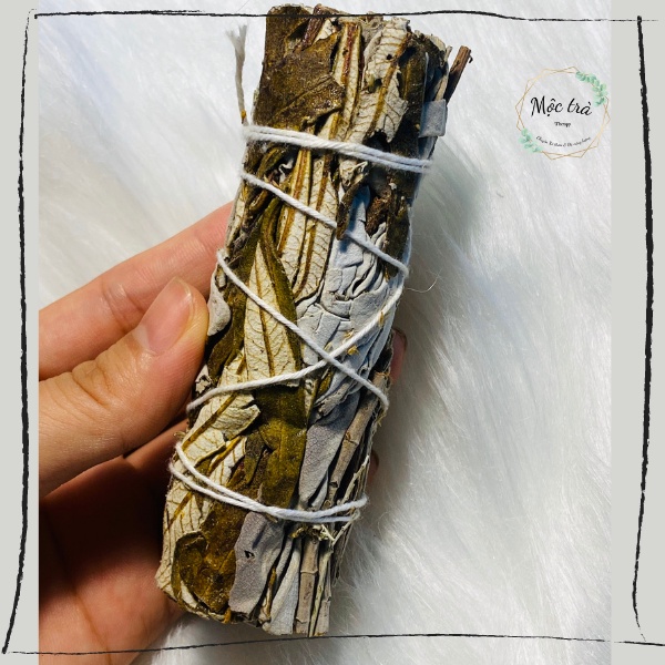 SAGE May Mắn, Bó Xô mix YEBRA SANTA, Xô Thơm Xanh, Xô Thơm Trắng loại 10cm