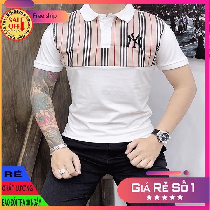Áo Thun Nam Tay Ngắn Có Cổ Cao Cấp Thích Hợp Moi Lứa Tuổi Cam Kết Về Chất Lượng 🌟GIÁ RẺ NHẤT🌟