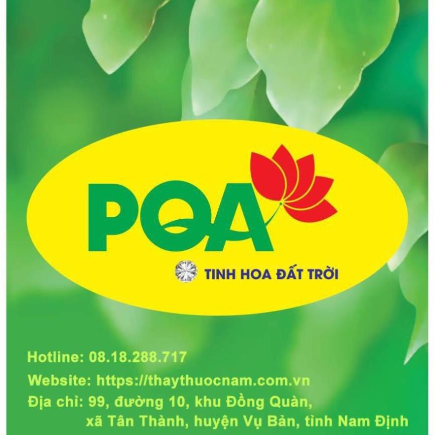 PQA HOÀNG KIM: Giúp bổ phế, giảm ho, long đờm, hỗ trợ giảm ho do viêm phế quản