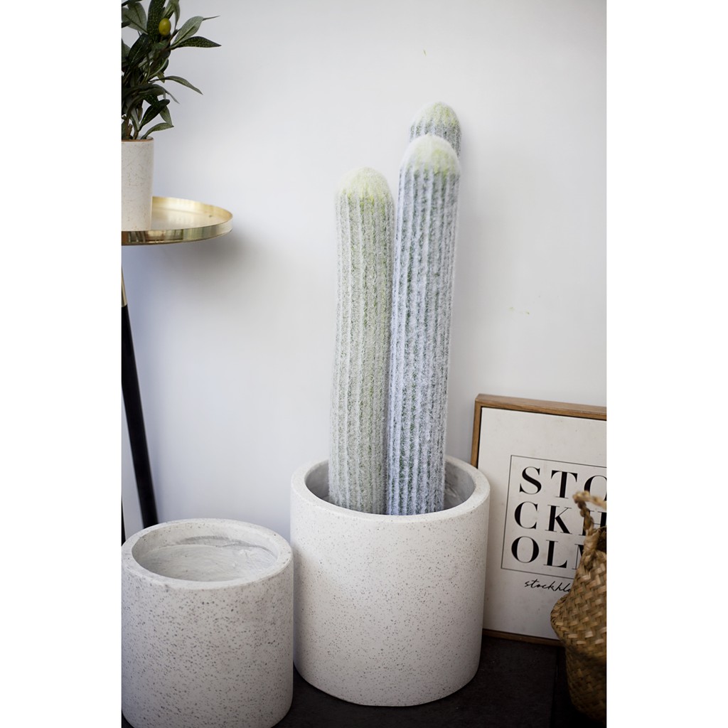 [Cây giả] Chậu xương rồng đuôi chuột CC392