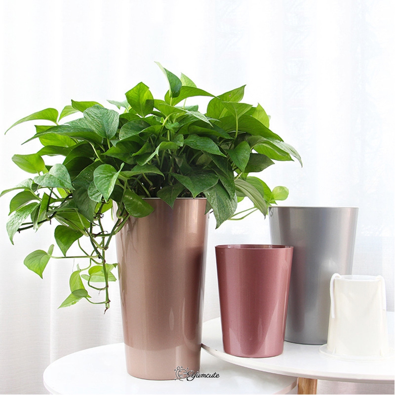 Chậu trồng cây tự tưới nước tự động tiện dụng chất lượng cao