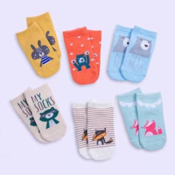 Combo 6 Đôi Tất Ponykid Cho Bé ( 6 Đôi )))