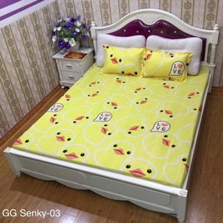 GA CHUN VÀ VỎ GỐI POLY COTTONG