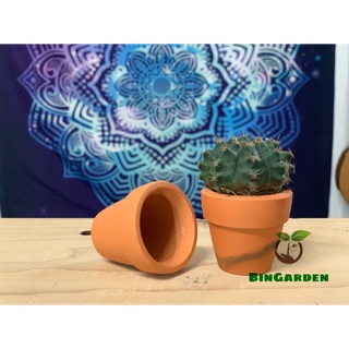 Chậu đất nung size 1