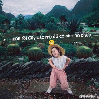 Siro húng ,,chanh quất ,,đường phèn,, lá hẹ,,,kha tử,,gừng,,riếp cá,, hoa,,đu đủ đực
