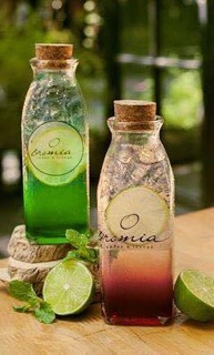 CHAI VUÔNG NÚT GỖ 350ML