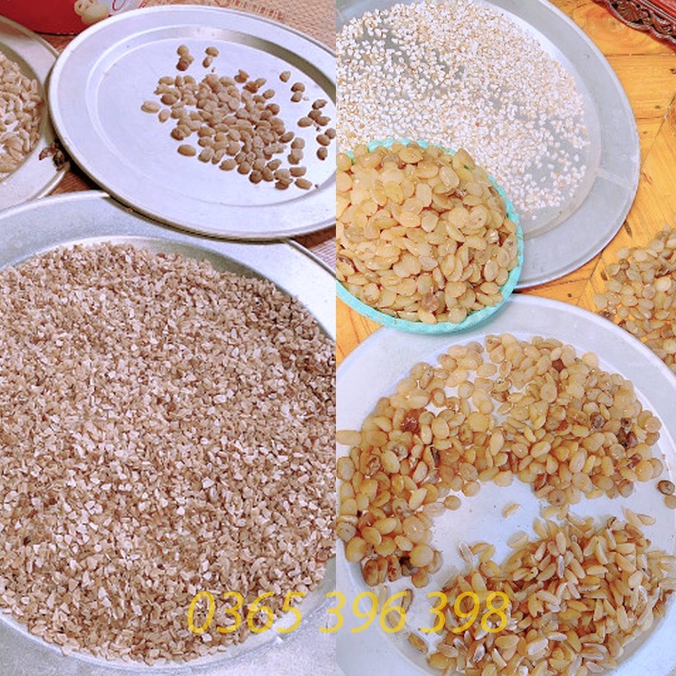Hạt sành, hạt sang, hạt già ruật trắng hỗ trợ đau dạ dày, 1 gói