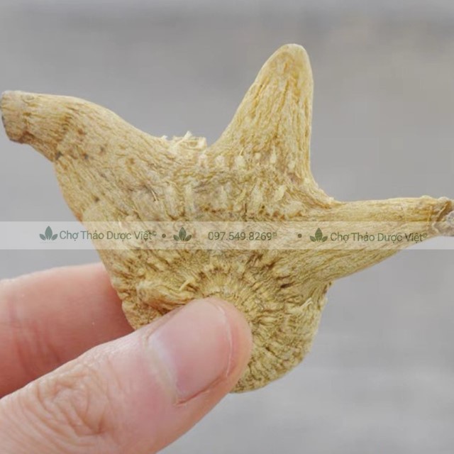 Bạch Cập 100g (Hàng Cao Cấp)