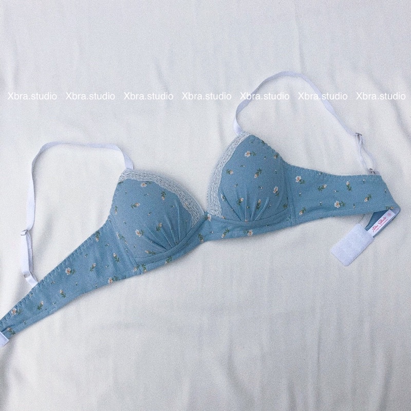 Bộ đồ lót cotton hoa nhí áo bralette MÚT LIỀN MẪU MỚI | BigBuy360 - bigbuy360.vn
