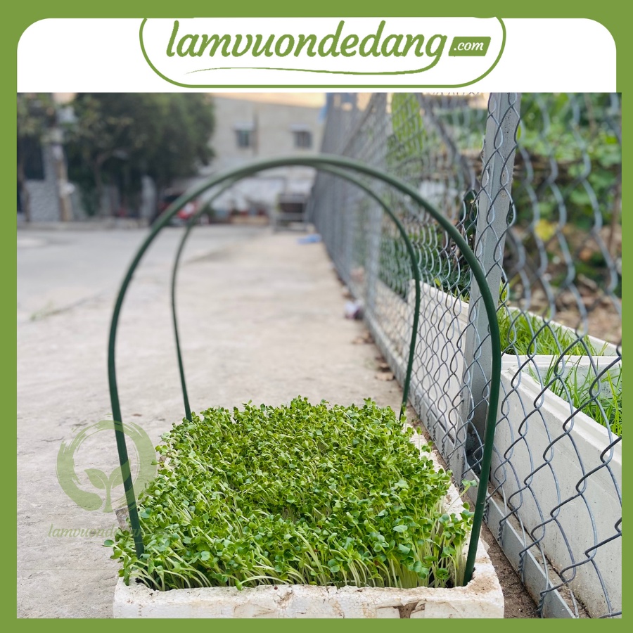 THANH TRE VÒM TẠO LUỐNG CHO CÂY