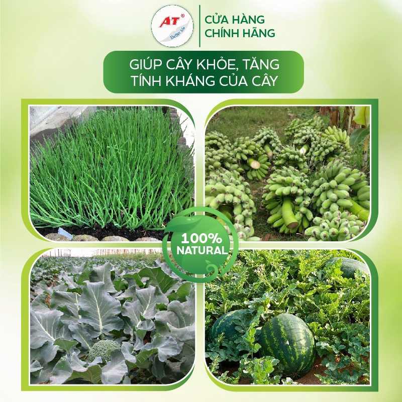 Phân kali AT hữu cơ tạo ngọt, kích thích đậu trái, chắc nhân, đâm hoa nhanh, chống rụng trái non - Siêu Kali AT 500ml