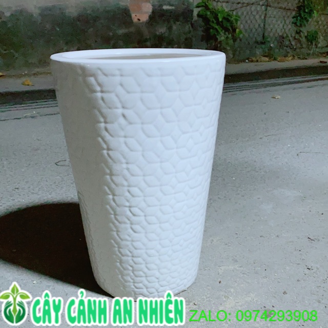 Chậu SứTrồng Cây Chỉ Giao Hoả Tốc cao 40 miệng 25cm