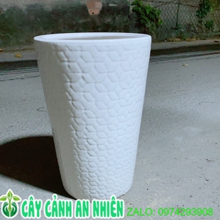 Chậu Trồng Cây Chỉ Giao Hoả Tốc