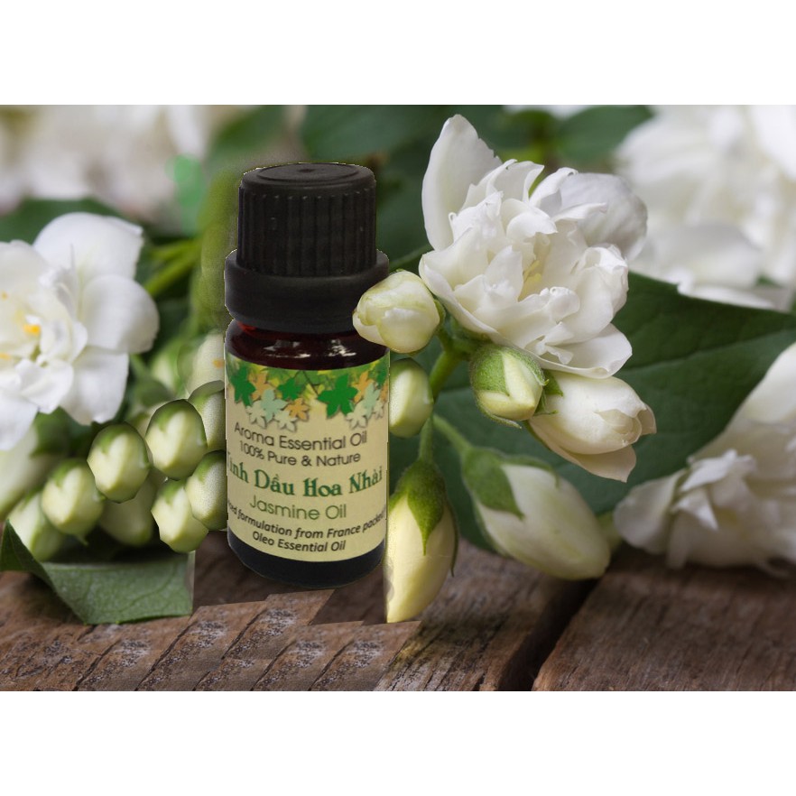 Tinh dầu Hoa Nhài 10ml