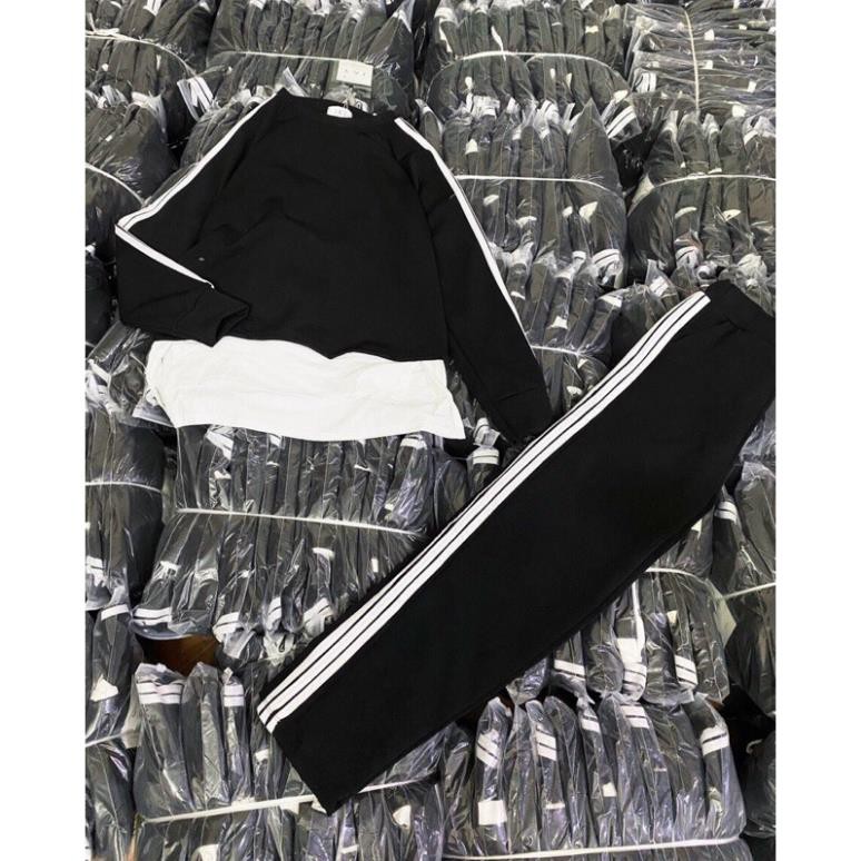 Bộ Thể Thao Nữ Áo Phối Vạt Sơ Mi Quần Legging 3 Sọc 103