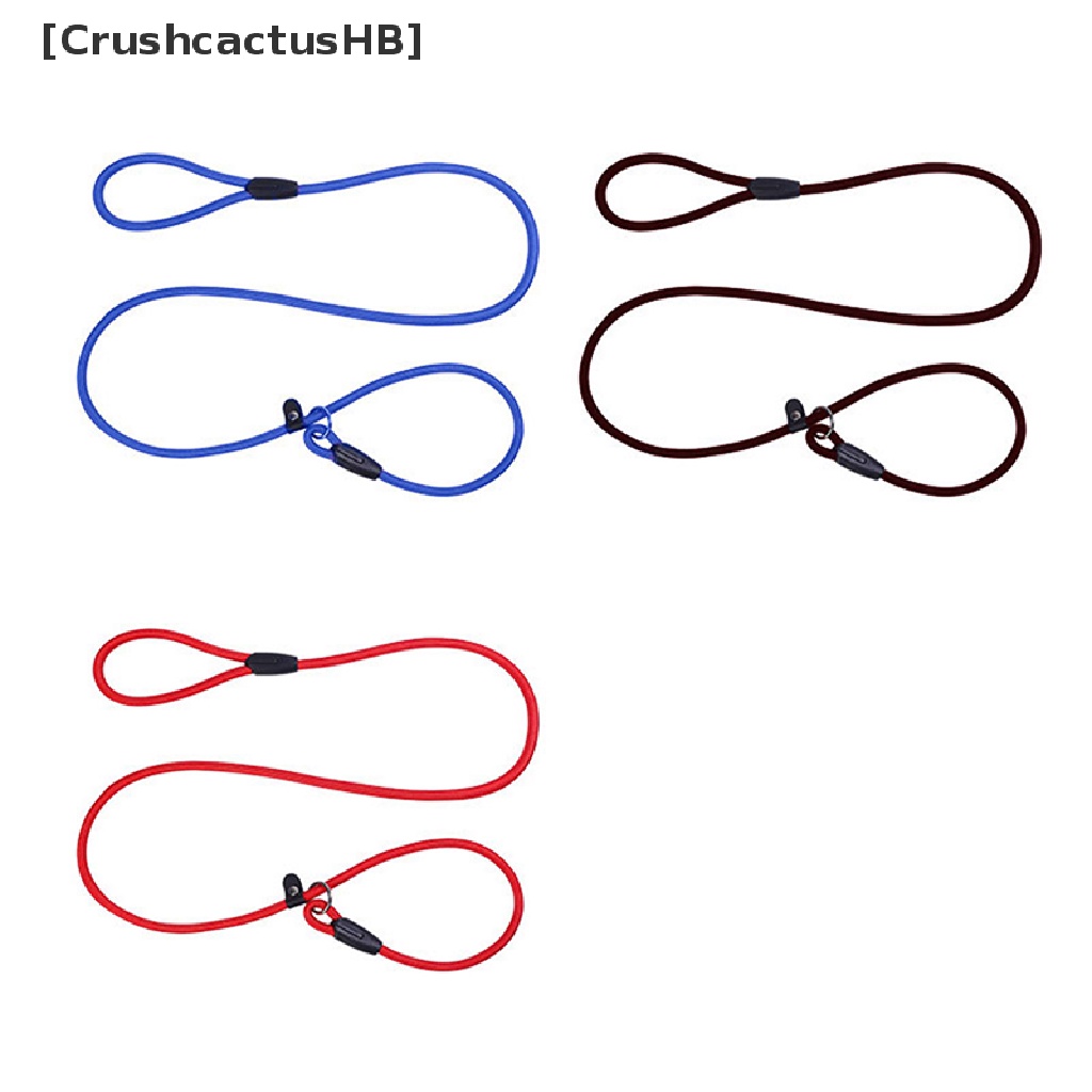 Dây xích chó huấn luyện thú cưng bằng nylon