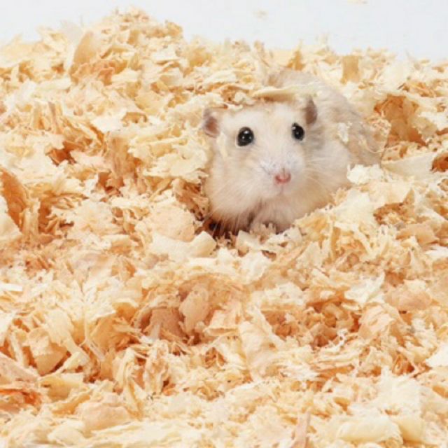 Mùn lót chuồng Hamster,thỏ,bọ,sóc...(Nén hoặc Thơm)