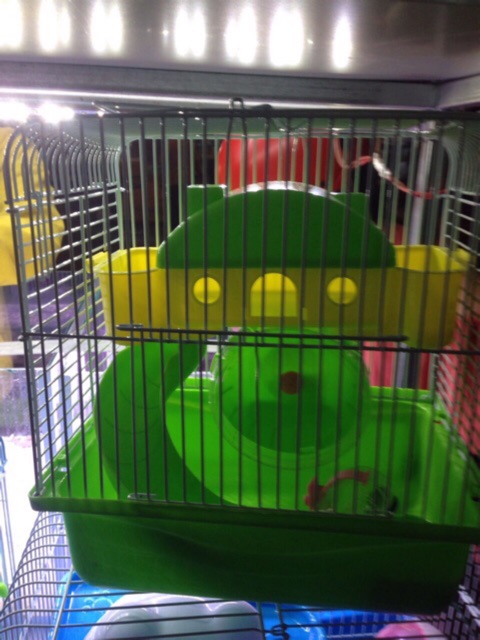 Lồng hề vuông cho Hamster. Lồng nuôi hamster
