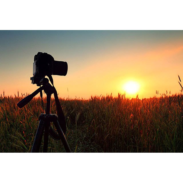 Chân Máy Ảnh Tripod