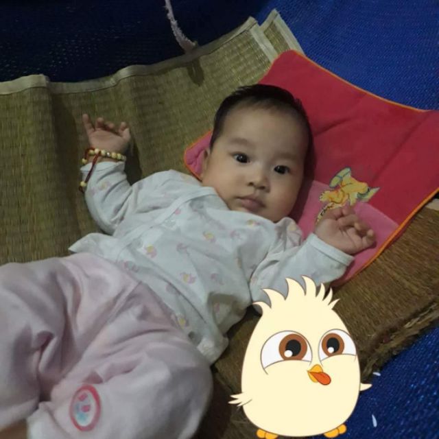 hoabinhminh