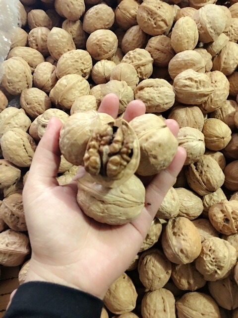 HÀNG CHẤT LƯỢNG 1kg óc chó rừng sapa quả to nhân mẩy | BigBuy360 - bigbuy360.vn