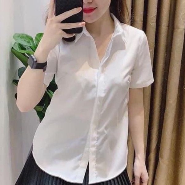 Áo sơ mi nữ cộc tay: trắng, xanh, áo nữ trơn hàng công sở | BigBuy360 - bigbuy360.vn