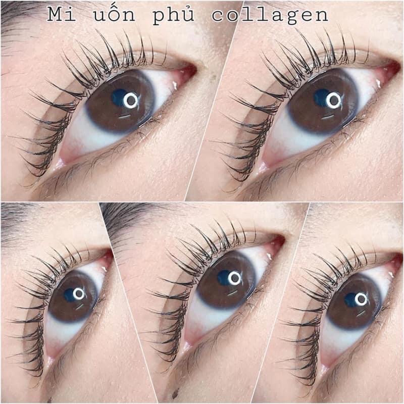 Nhựa gạt uốn mi lash lift