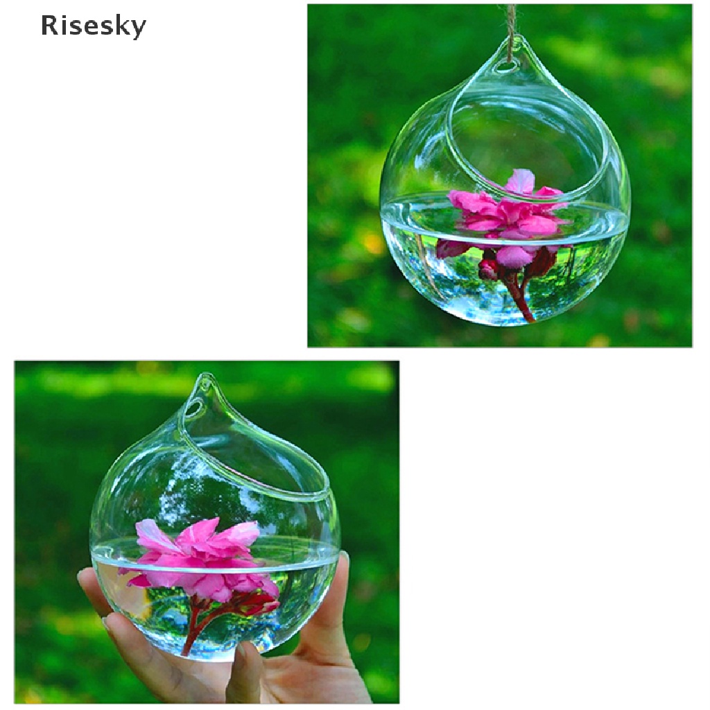 Mới Chậu Hoa Thủy Tinh Hình Cầu Dùng Trang Trí