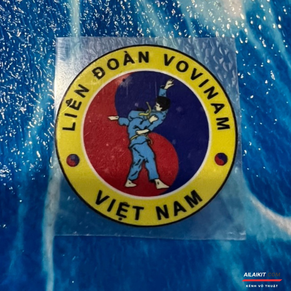 Logo In Nhiệt Decal in Lên áo Thun, Võ Phục (Cờ Việt Nam,Vovinam, Vovinam Việt Võ Đạo) InTheo Yêu Cầu Ailaikit