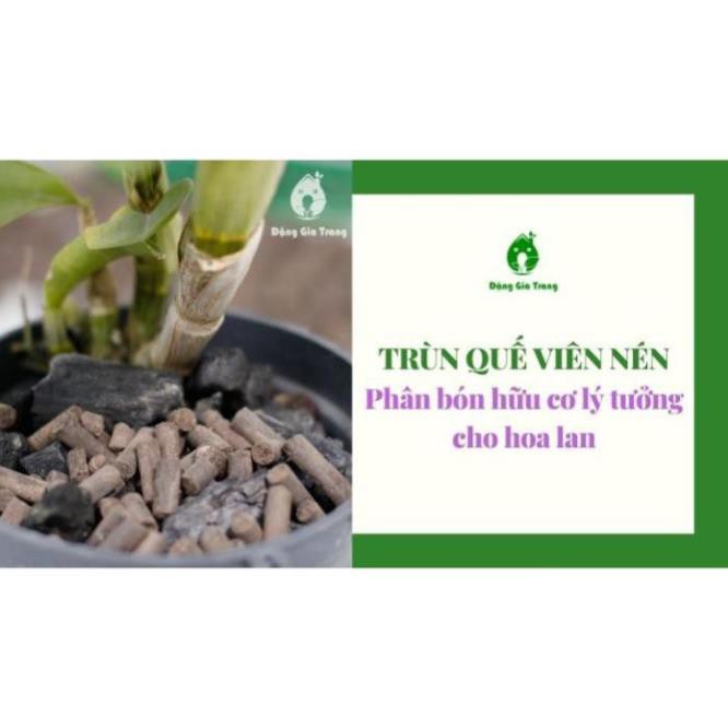 Phân Trùn Quế SFARM dạng viên tan chậm bón lan và hoa kiểng túi 1KG