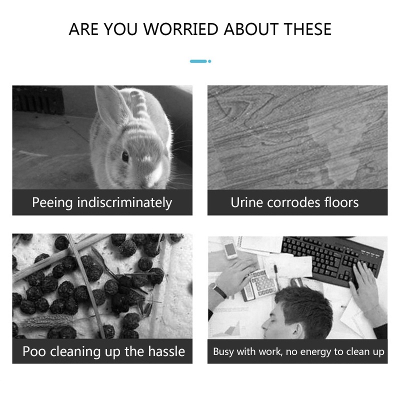 Hộp Cát Vệ Sinh Cho Thỏ Chinchilla