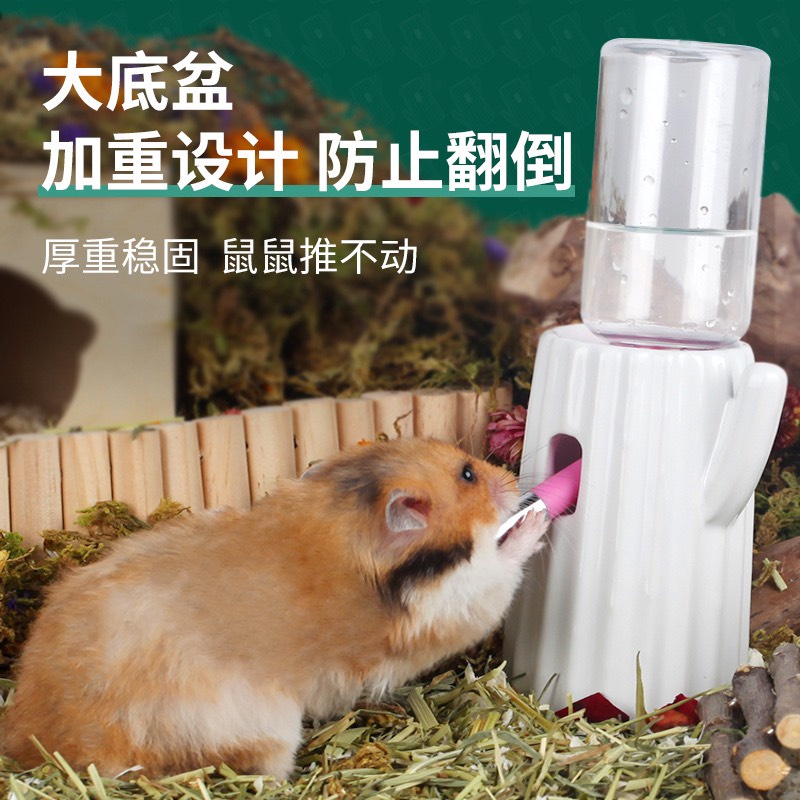 đế sứ bình nước hình xương rồng hãng Bucatstate dành cho hamster