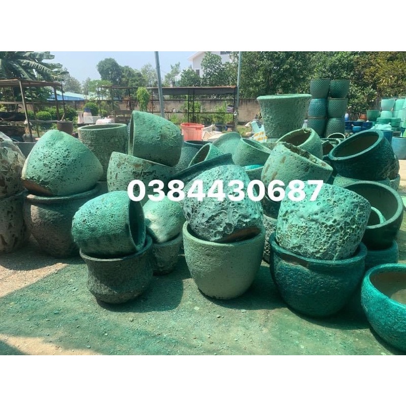 tiếp tục về lô chậu Atlantic