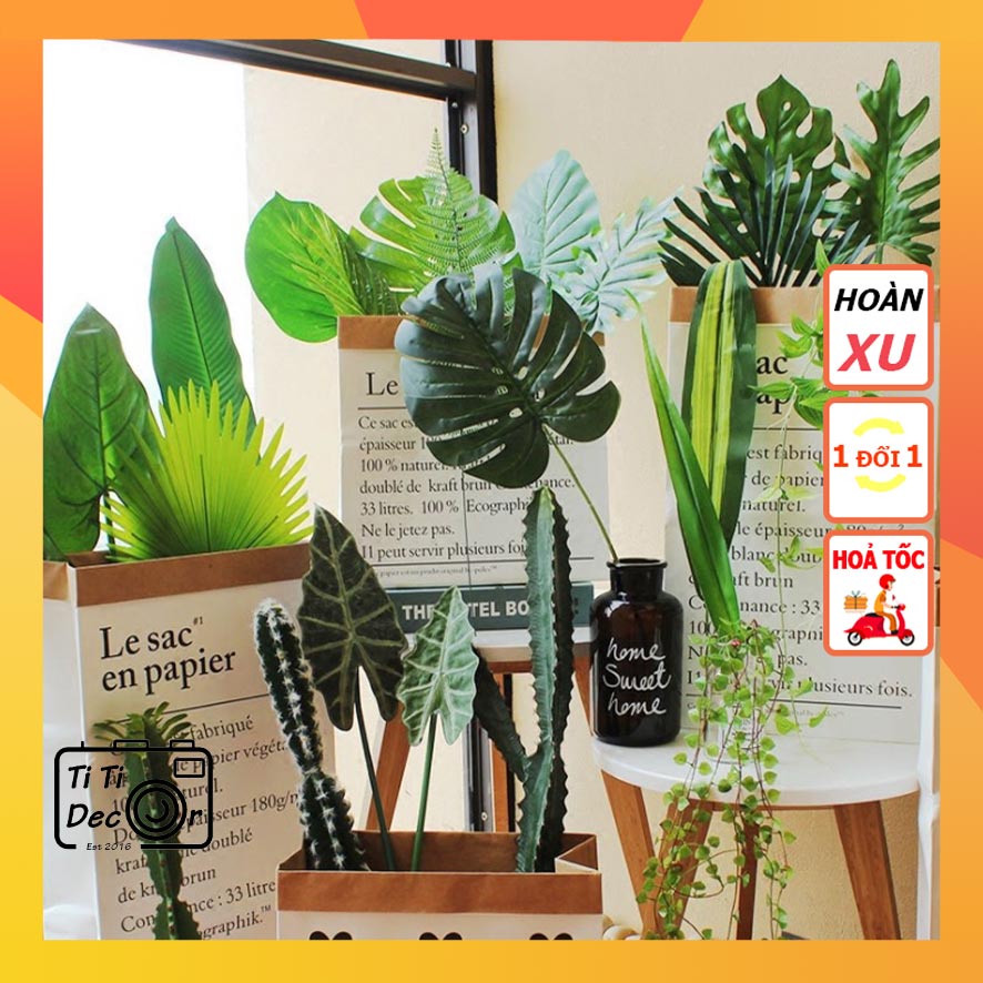 Lá giả Trang Trí TiTi Decor Lá Monstera, Sake, Cọ Tròn, Trầu Bà Lá Xẻ Nam Mỹ Trang Trí Nhà Cửa, Đạo Cụ Chụp Ảnh