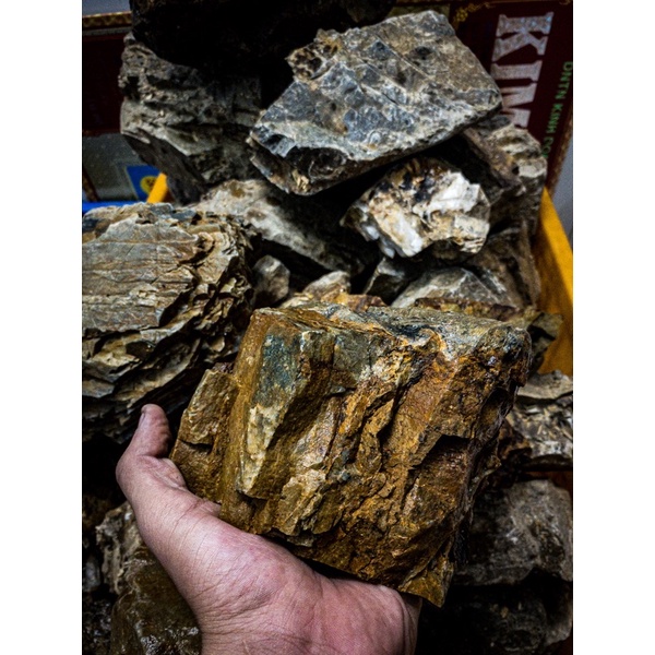 Đá Trầm Suối | Trang Trí Setup Bể Thủy Sinh, Biotope, Blackwater,.... | Mua nhiều giá tốt