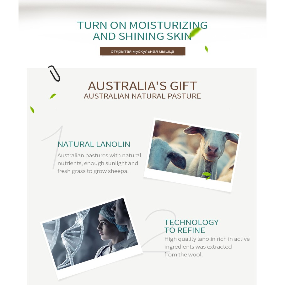 Laikou australia lanolin oil face cream kem dưỡng ẩm cho da mặt dưỡng ẩm làm sáng da
