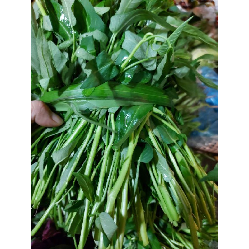 rau muống 1 bó nhặt sẵn (500gram)