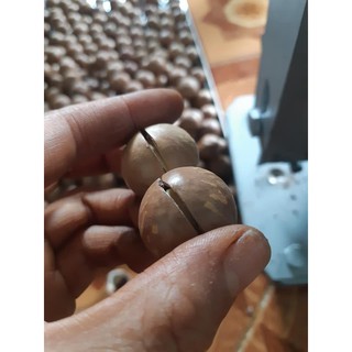 HẠT MẮC CA chất lượng Việt - 1000gr