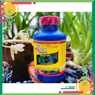 Vitamin B1 cho lan và hồng ⭐Freeship⭐ Tăng sức đề kháng cung cấp dinh dưỡng cho cây